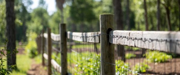 Pet-Fence-installation-Banner
