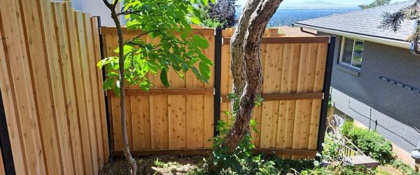 Wood Fence